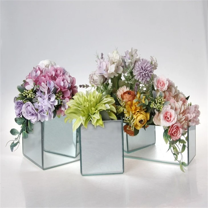 Hydroponic Glass Vase