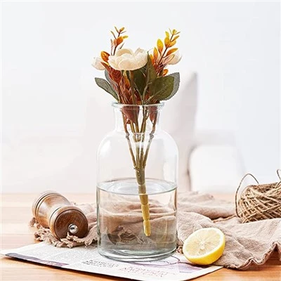 گلدان شیشه ای بزرگ برای گلدان